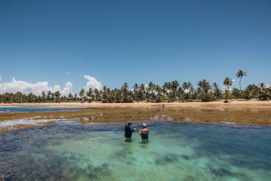 Praia do Forte Bahia litoral natureza turismo